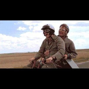 Meet your Posher, Owen